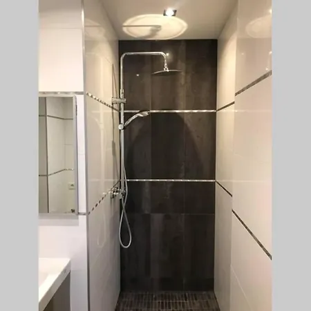 2p Centre - Homme De Fer Apartment *